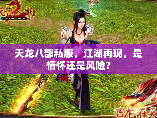 天龙八部私服，江湖再现，是情怀还是风险？
