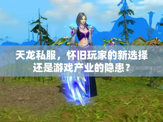 天龙私服，怀旧玩家的新选择还是游戏产业的隐患？