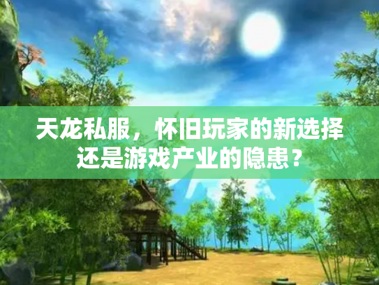 天龙私服，怀旧玩家的新选择还是游戏产业的隐患？
