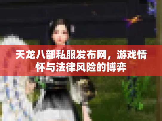 天龙八部私服发布网，游戏情怀与法律风险的博弈