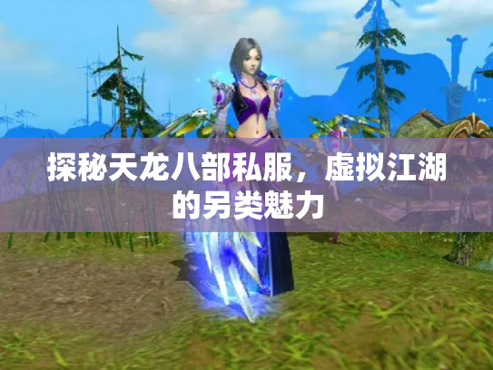 探秘天龙八部私服，虚拟江湖的另类魅力