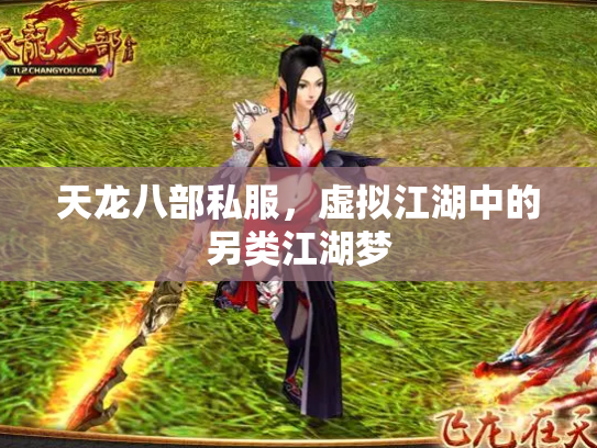 天龙八部私服，虚拟江湖中的另类江湖梦