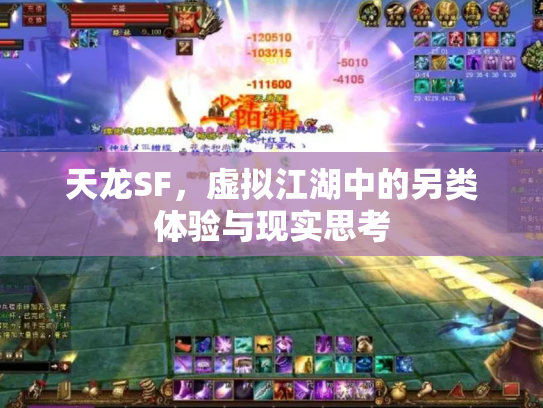 天龙SF，虚拟江湖中的另类体验与现实思考