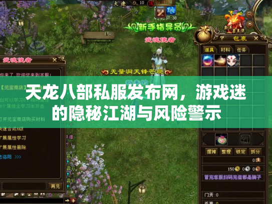 天龙八部私服发布网，游戏迷的隐秘江湖与风险警示