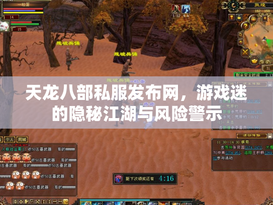 天龙八部私服发布网，游戏迷的隐秘江湖与风险警示