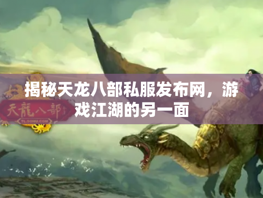 揭秘天龙八部私服发布网，游戏江湖的另一面