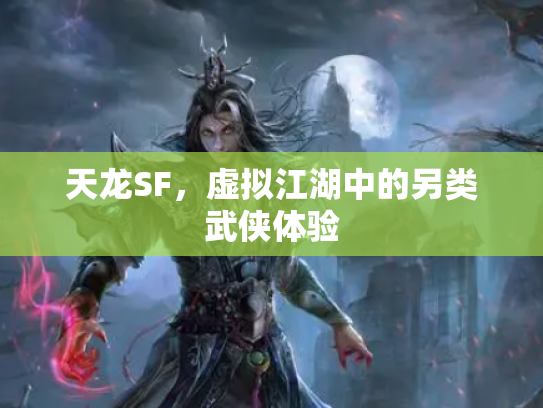 天龙SF，虚拟江湖中的另类武侠体验