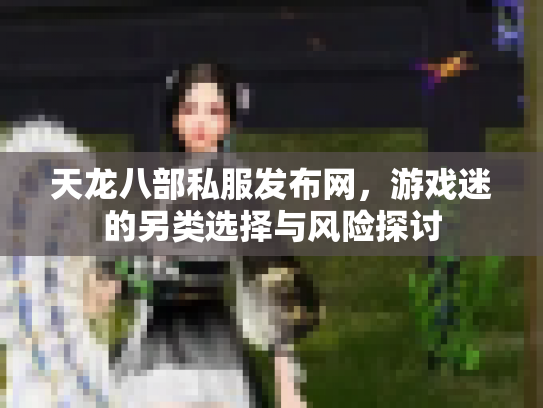 天龙八部私服发布网，游戏迷的另类选择与风险探讨