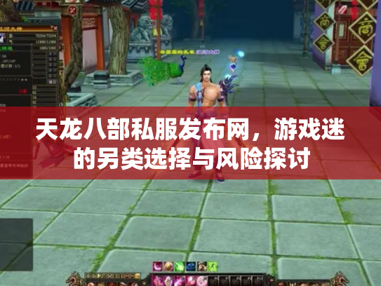 天龙八部私服发布网，游戏迷的另类选择与风险探讨