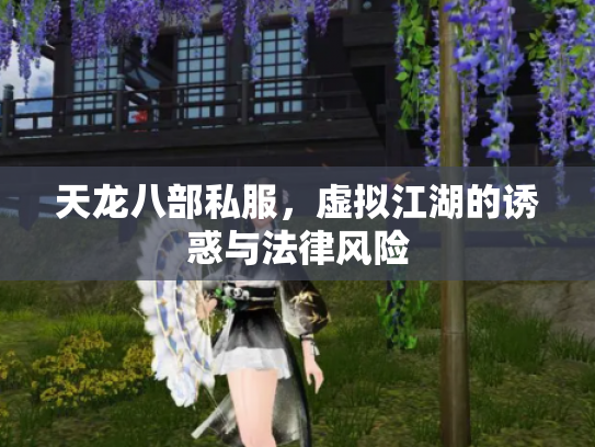 天龙八部私服，虚拟江湖的诱惑与法律风险