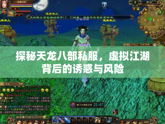 探秘天龙八部私服，虚拟江湖背后的诱惑与风险