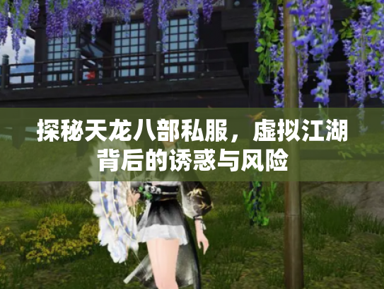 探秘天龙八部私服，虚拟江湖背后的诱惑与风险