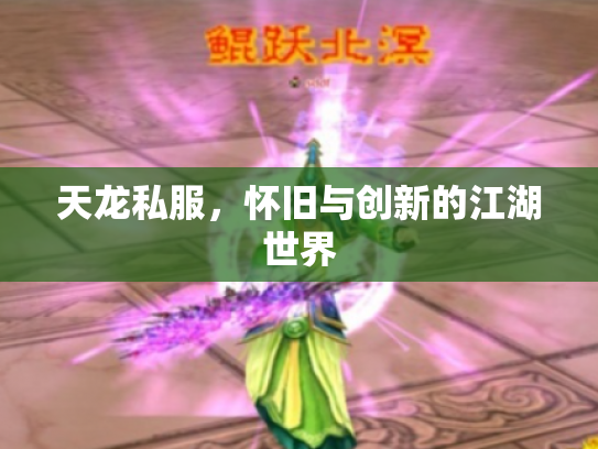 天龙私服，怀旧与创新的江湖世界
