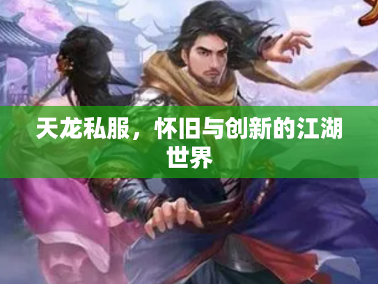 天龙私服，怀旧与创新的江湖世界