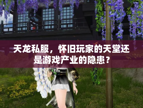 天龙私服，怀旧玩家的天堂还是游戏产业的隐患？