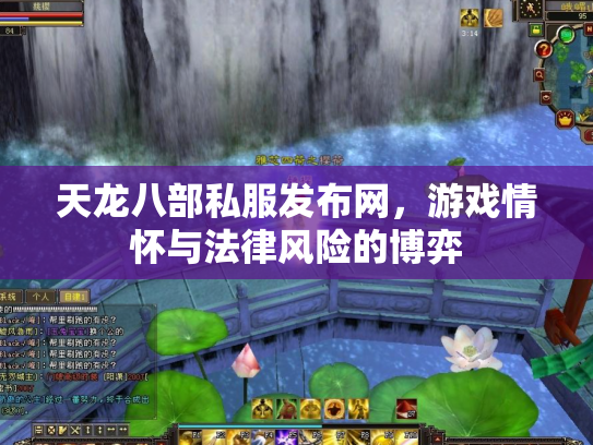 天龙八部私服发布网，游戏情怀与法律风险的博弈