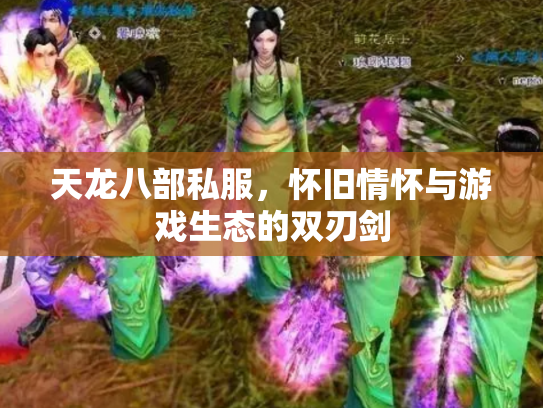 天龙八部私服，怀旧情怀与游戏生态的双刃剑