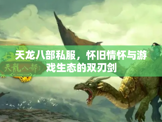 天龙八部私服，怀旧情怀与游戏生态的双刃剑