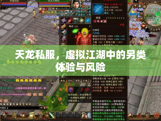 天龙私服，虚拟江湖中的另类体验与风险