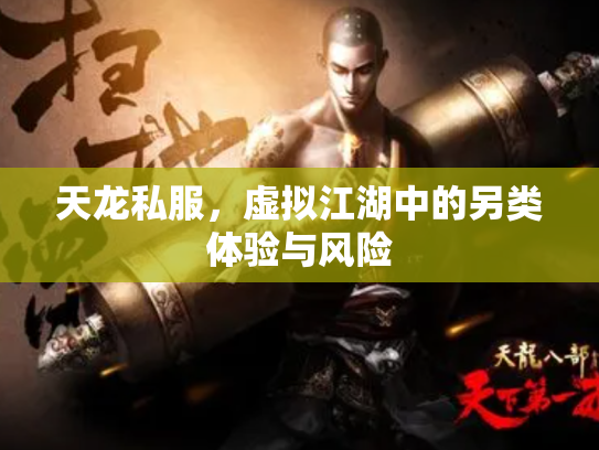 天龙私服，虚拟江湖中的另类体验与风险