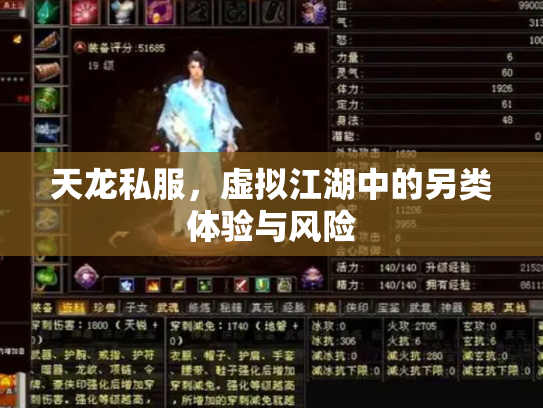 天龙私服，虚拟江湖中的另类体验与风险