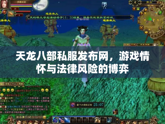 天龙八部私服发布网，游戏情怀与法律风险的博弈