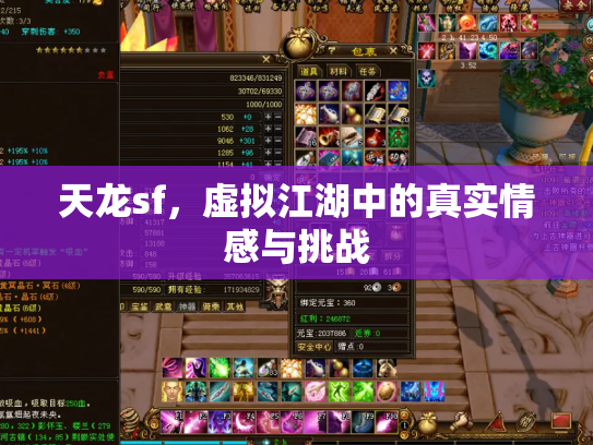 天龙sf，虚拟江湖中的真实情感与挑战