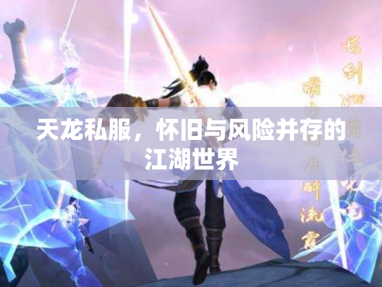天龙私服，怀旧与风险并存的江湖世界