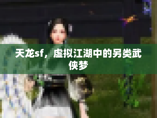 天龙sf，虚拟江湖中的另类武侠梦