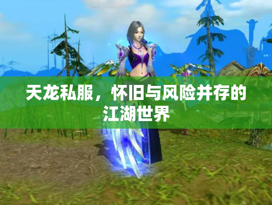 天龙私服，怀旧与风险并存的江湖世界