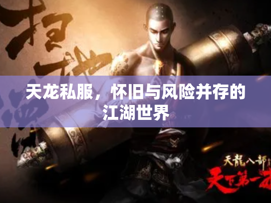 天龙私服，怀旧与风险并存的江湖世界