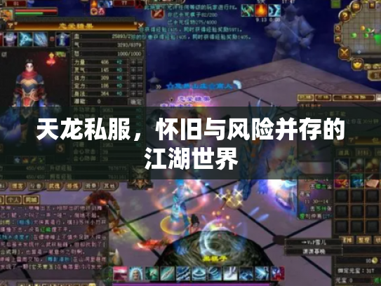 天龙私服，怀旧与风险并存的江湖世界