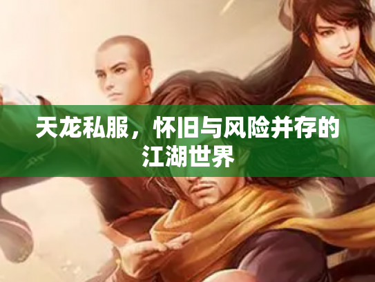 天龙私服，怀旧与风险并存的江湖世界
