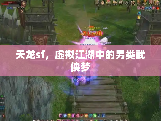 天龙sf，虚拟江湖中的另类武侠梦
