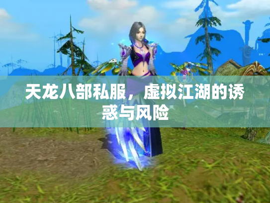天龙八部私服，虚拟江湖的诱惑与风险