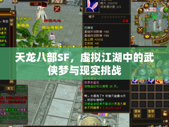 天龙八部SF，虚拟江湖中的武侠梦与现实挑战