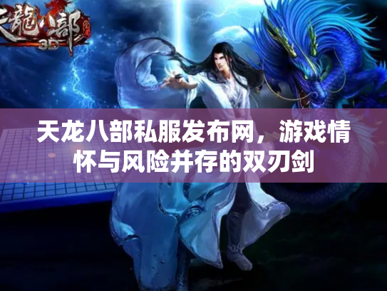 天龙八部私服发布网，游戏情怀与风险并存的双刃剑