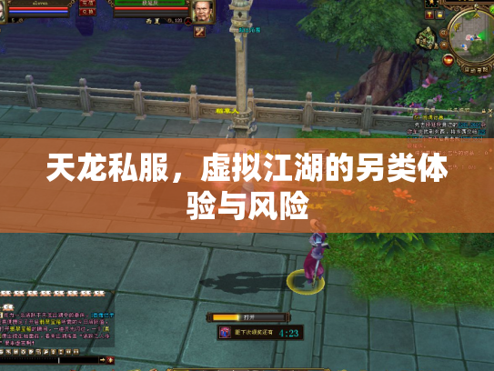 天龙私服，虚拟江湖的另类体验与风险