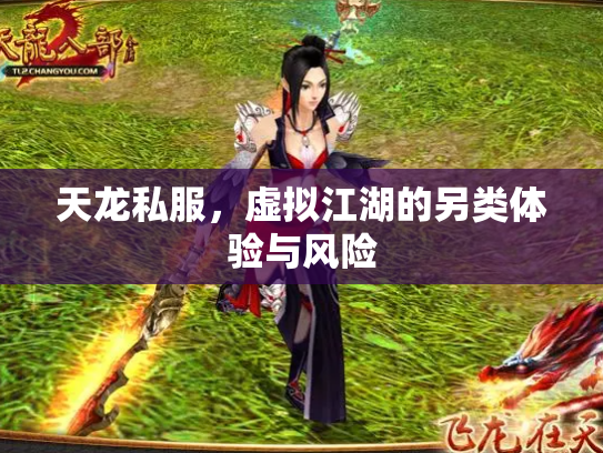 天龙私服，虚拟江湖的另类体验与风险