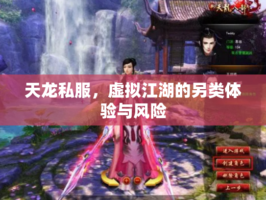天龙私服，虚拟江湖的另类体验与风险