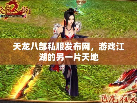 天龙八部私服发布网，游戏江湖的另一片天地