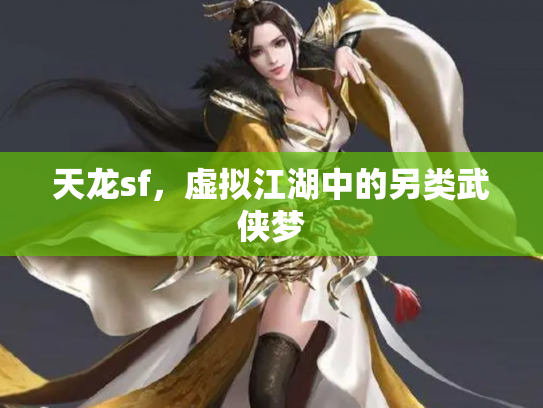 天龙sf，虚拟江湖中的另类武侠梦
