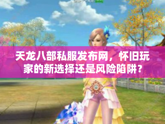 天龙八部私服发布网，怀旧玩家的新选择还是风险陷阱？