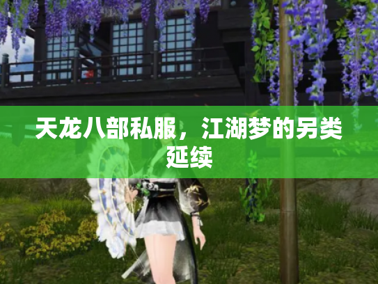 天龙八部私服，江湖梦的另类延续