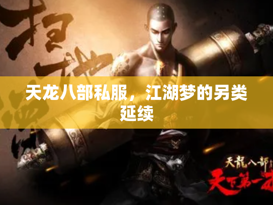 天龙八部私服，江湖梦的另类延续