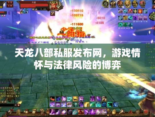 天龙八部私服发布网，游戏情怀与法律风险的博弈