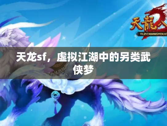 天龙sf，虚拟江湖中的另类武侠梦