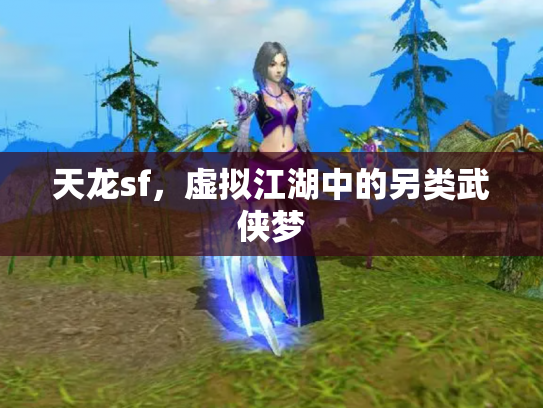 天龙sf，虚拟江湖中的另类武侠梦
