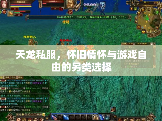天龙私服，怀旧情怀与游戏自由的另类选择