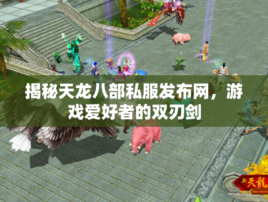 揭秘天龙八部私服发布网，游戏爱好者的双刃剑
